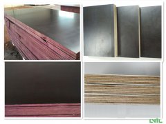 Shuttering Film Faced Plywood