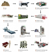 The production process of plywood